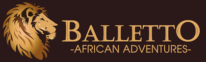 Balletto African Adventures